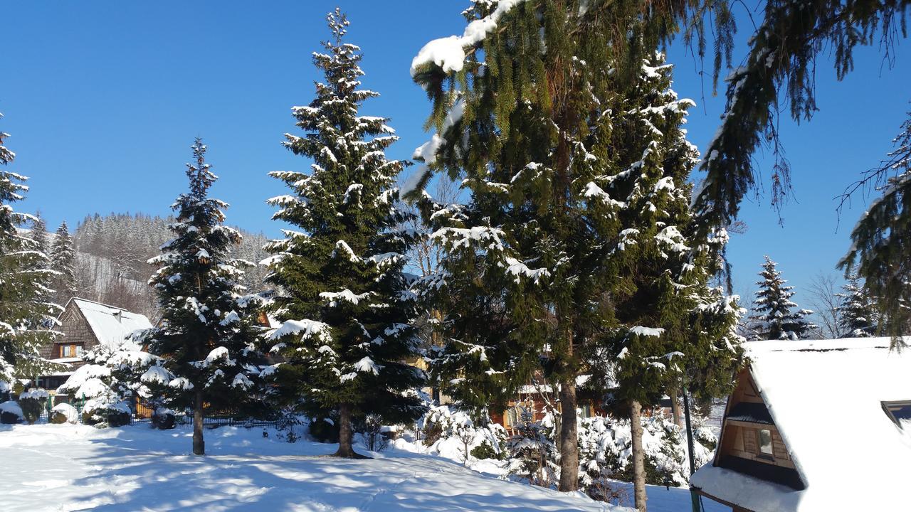 Camping Harenda Pokoje Goscinne I Domki Zakopane Extérieur photo