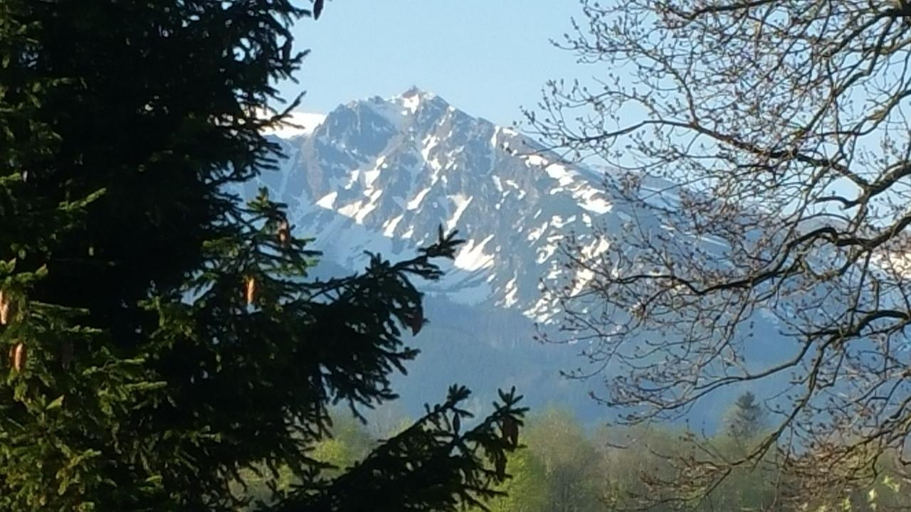 Camping Harenda Pokoje Goscinne I Domki Zakopane Extérieur photo