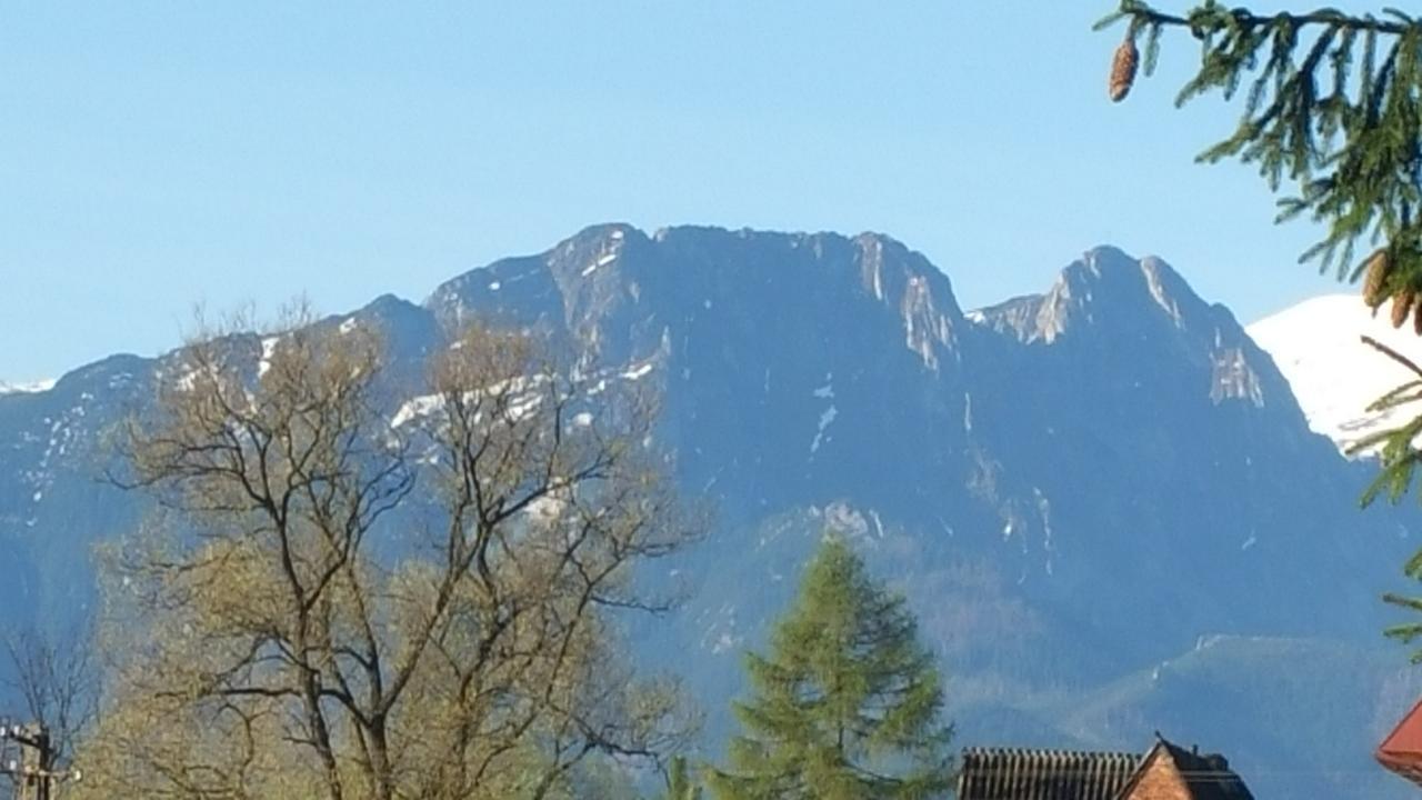 Camping Harenda Pokoje Goscinne I Domki Zakopane Extérieur photo